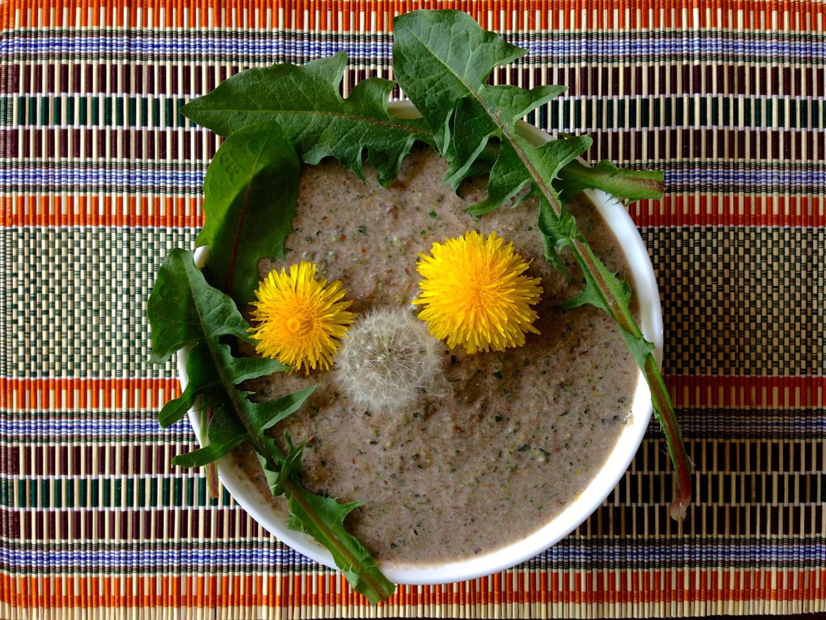Bitterstoffe zum Löffeln: Ein grüner Smoothie mit selbst gesammelten Löwenzahnblättern und -blüten.