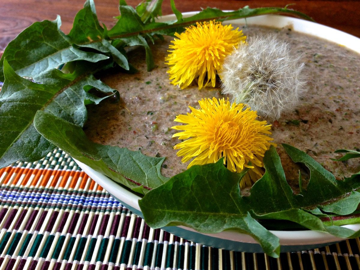Bitterstoffe zum Löffeln: Ein grüner Smoothie mit selbst gesammelten Löwenzahnblättern und -blüten.